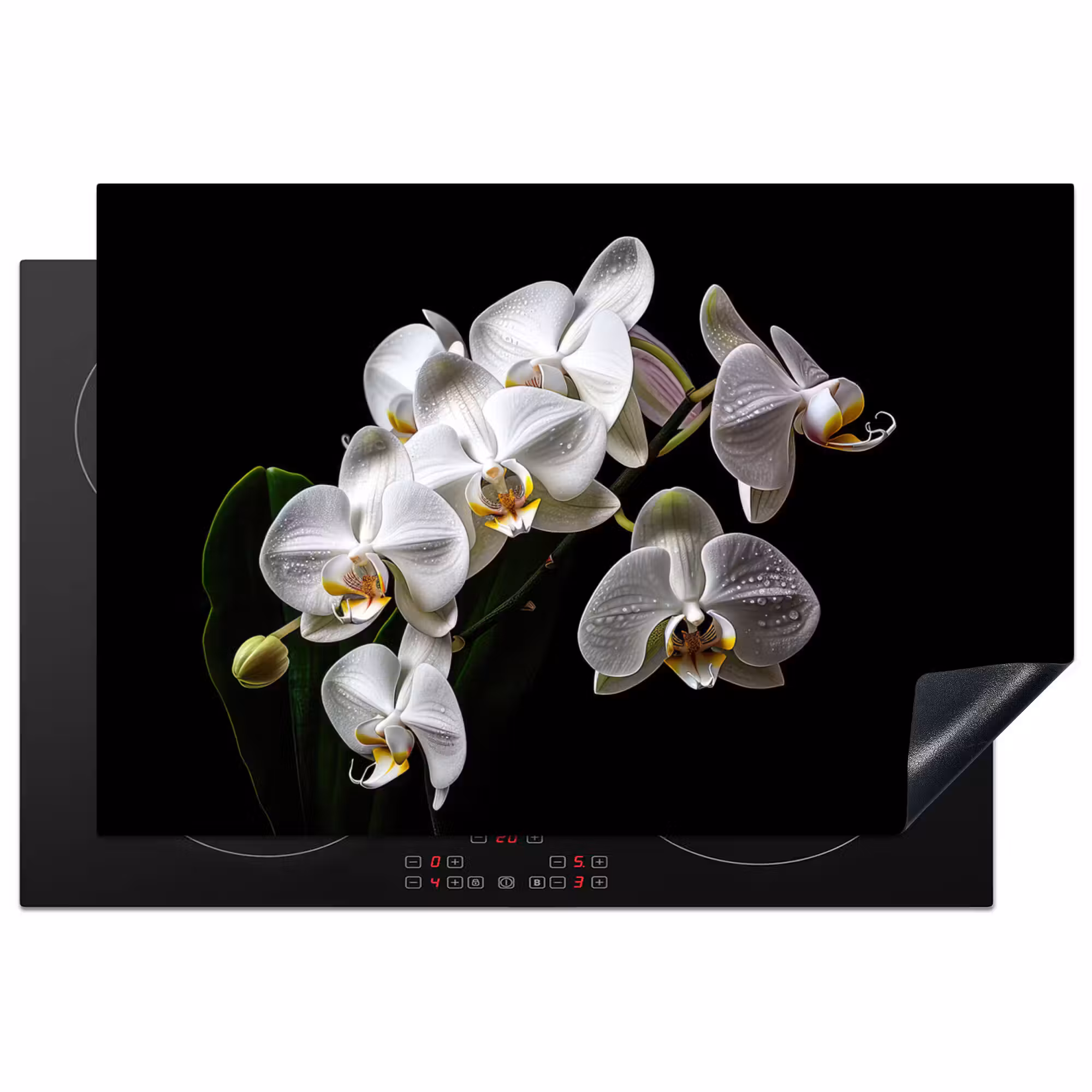 Inductie beschermer - Dauwdruppels op Witte Orchideeën