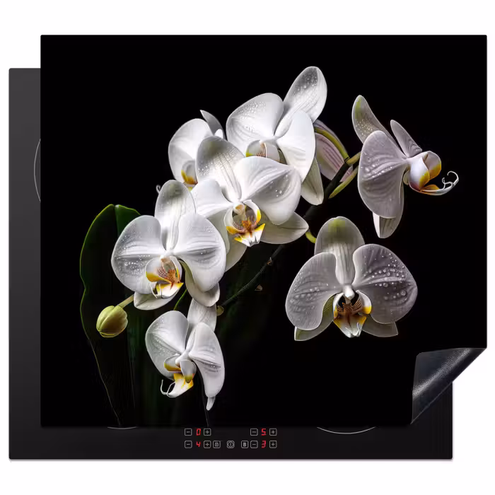 Inductie beschermer - Dauwdruppels op Witte Orchideeën