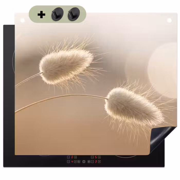 Inductie beschermer en spatscherm (2in1) - Hazestaartgras - Graanharen - Zonlicht