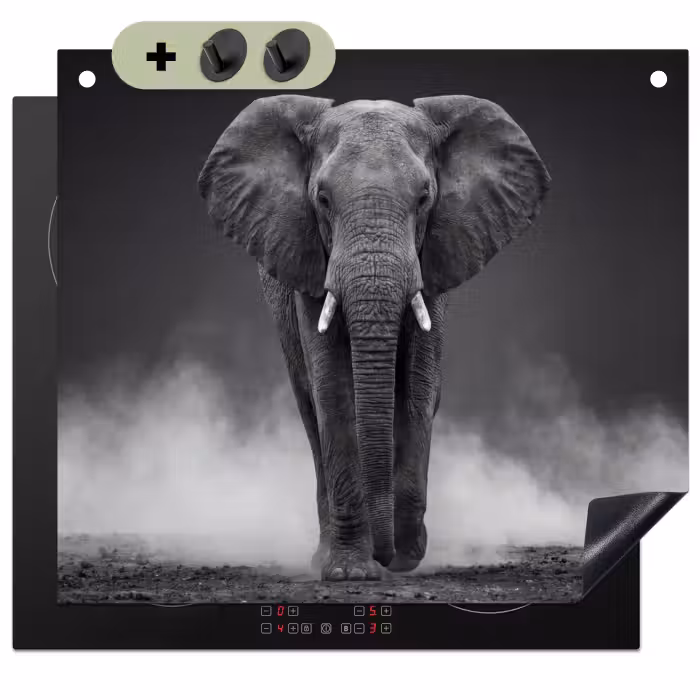 Inductie beschermer en spatscherm (2in1) - Olifant - Zwart - Wit - Rook