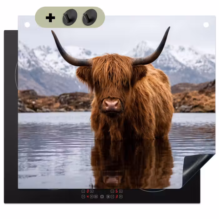 Inductie beschermer en spatscherm (2in1) - Schotse hooglander - Bruin - Water