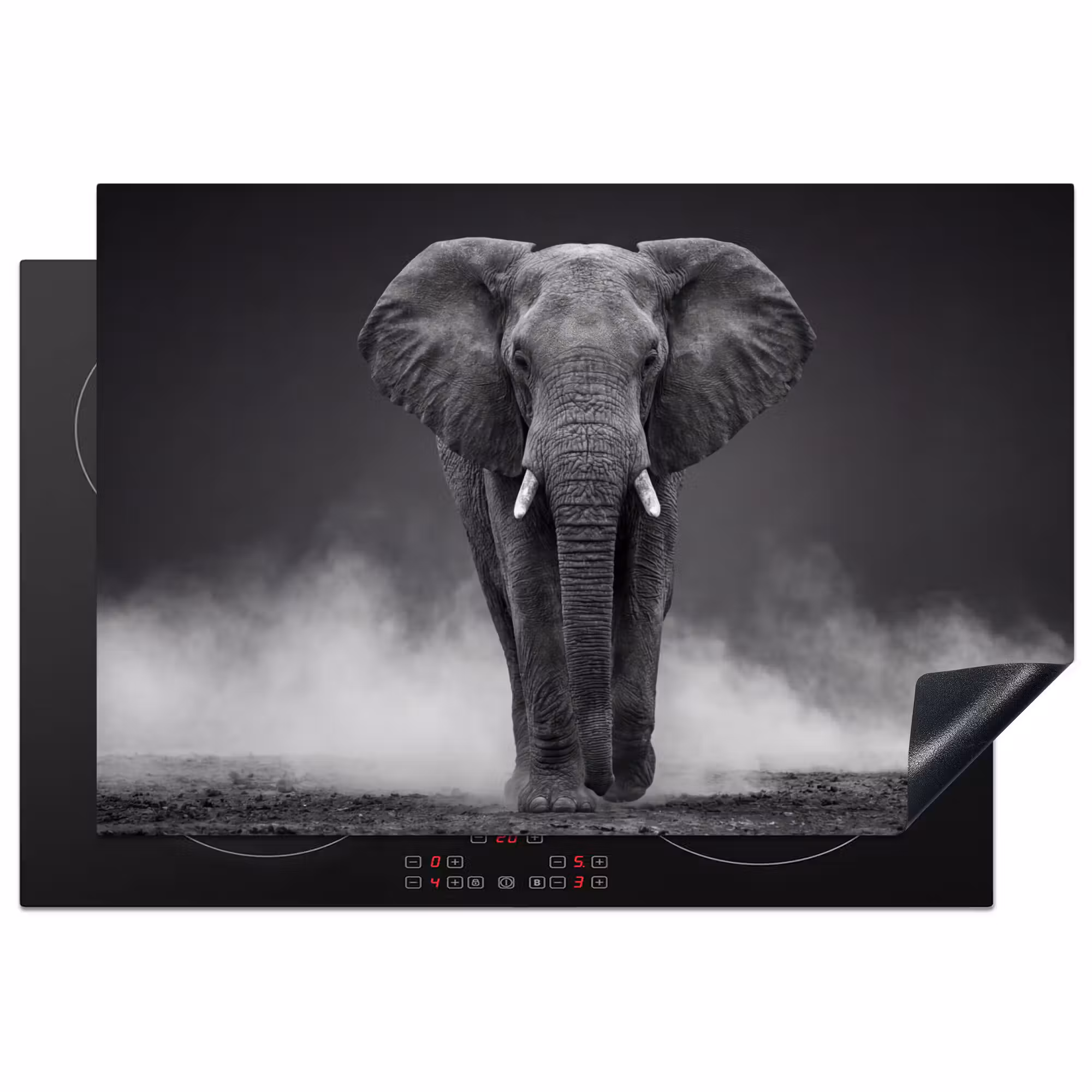 Inductie beschermer - Olifant - Zwart - Wit - Rook