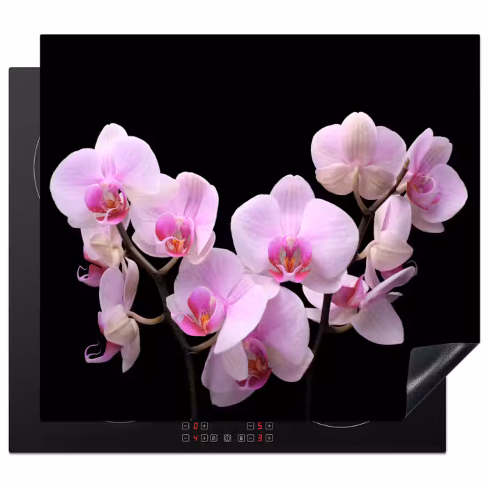 Inductie beschermer - Orchidee - Bloemen - Roze - Flora