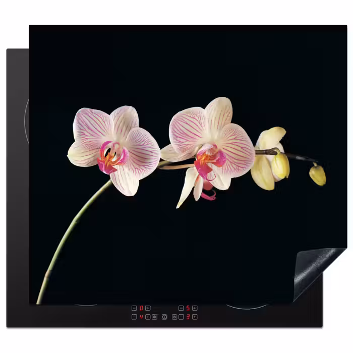Inductie beschermer - Orchidee - Bloemen - Zwart - Roze - Knoppen