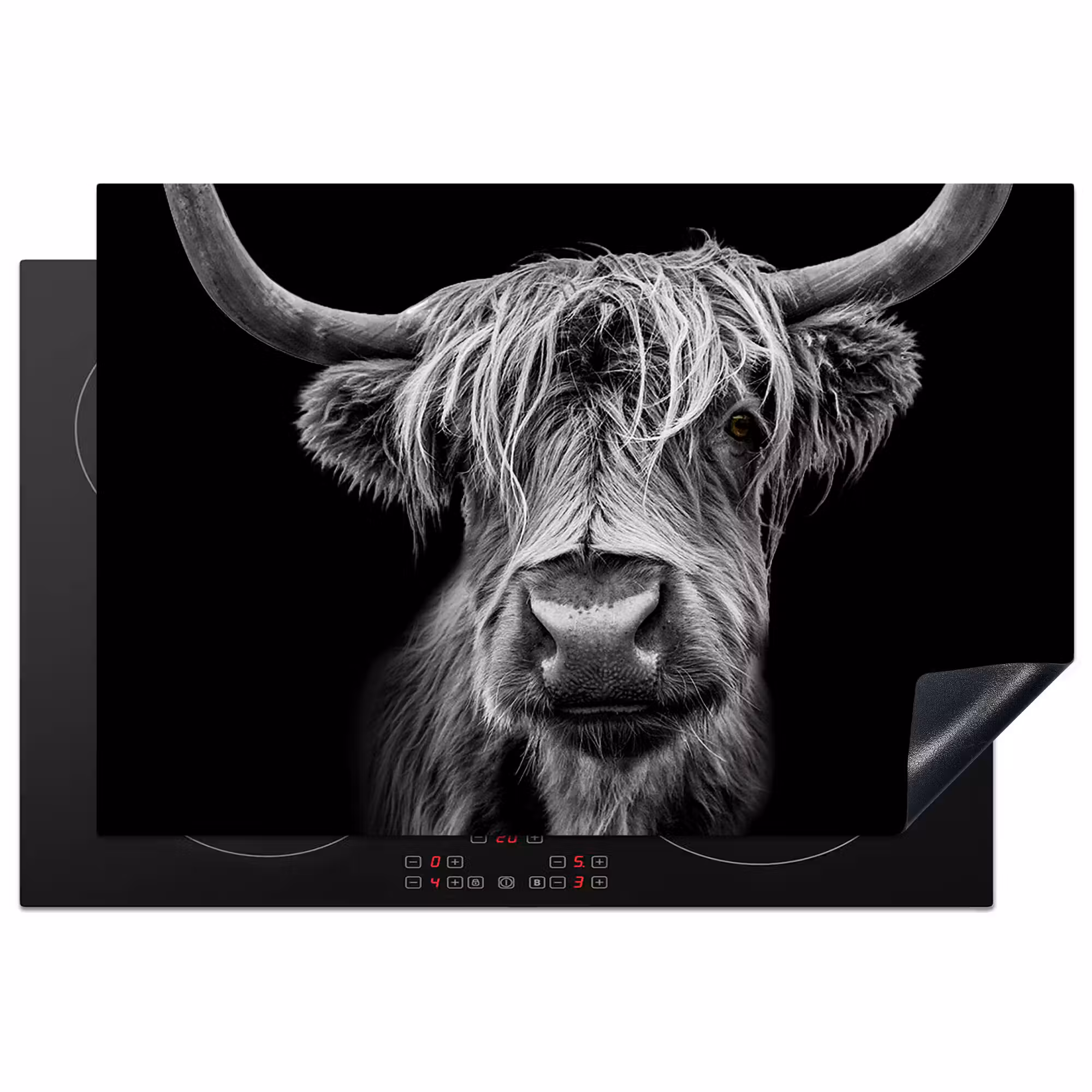Inductie beschermer - Schotse Hooglander - Horens - Zwart - Wit - Koe - Wild - Dieren