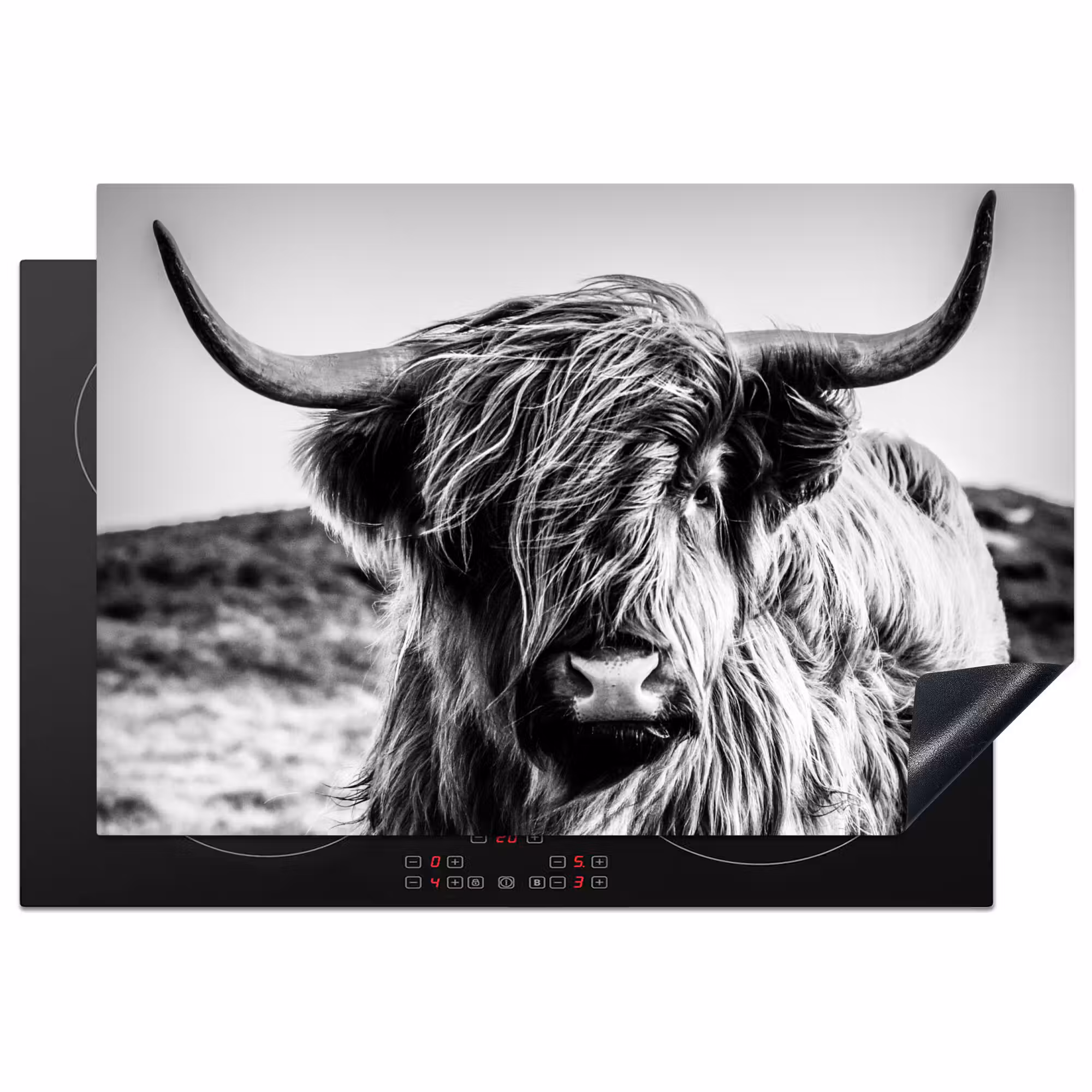 Inductie beschermer - Schotse hooglander - Natuur - Koe - Zwart - Wit