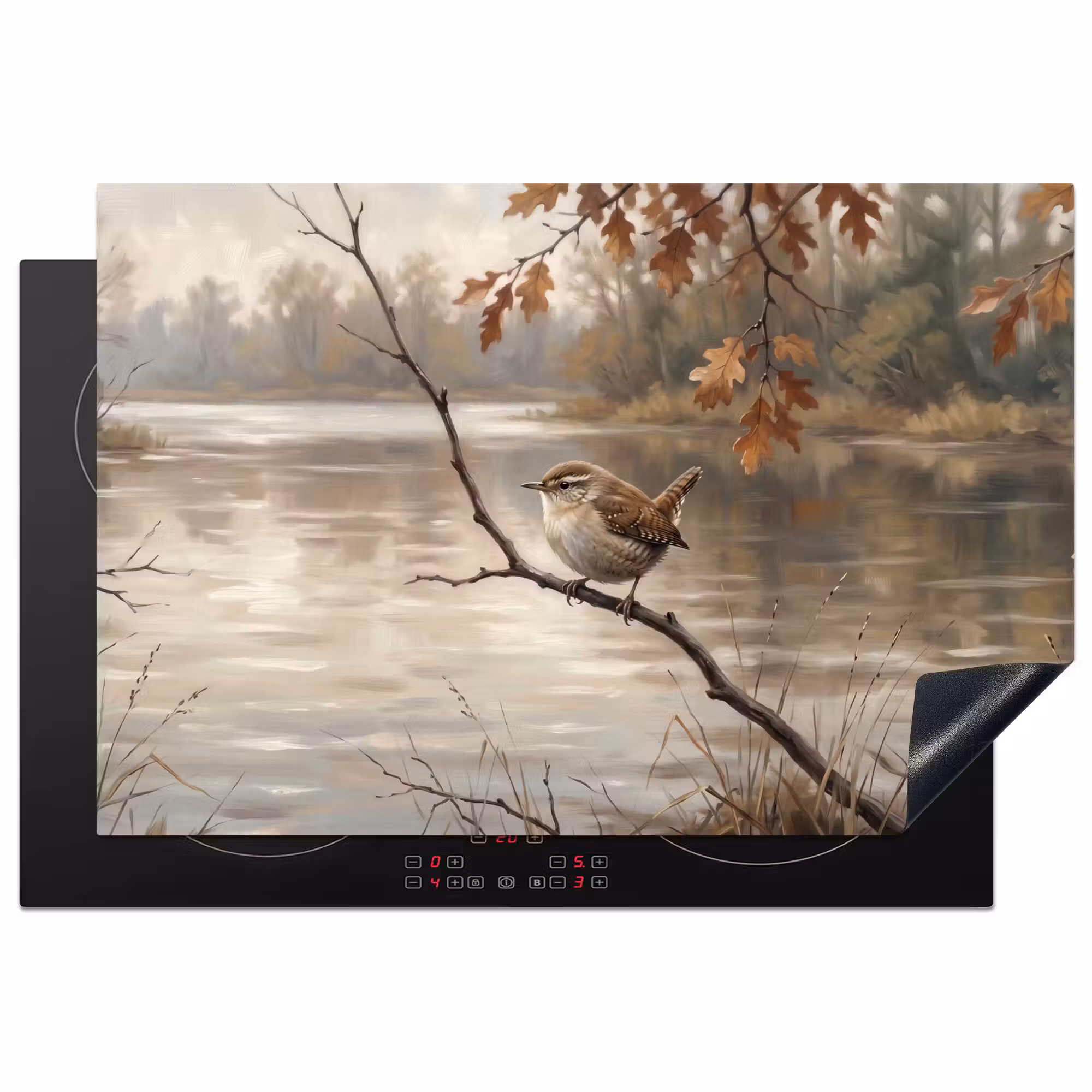 Inductie beschermer - Winterkoninkje - Tak - Rivier - Natuur - Sfeervol