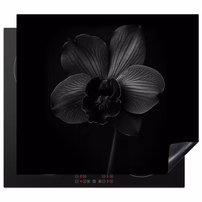Inductie beschermer - Zwart - Bloem - Orchidee