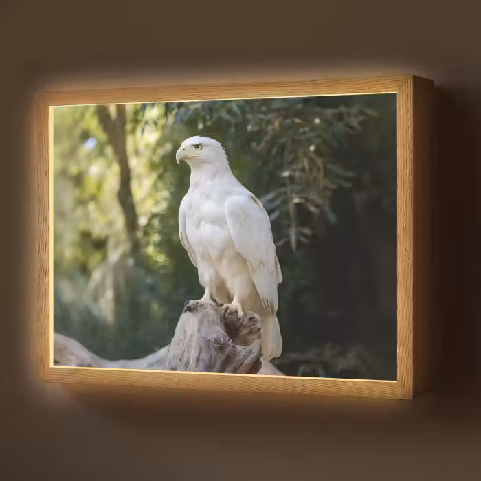 Lightbox - Wandlamp - Arend - Hout - Wit - Planten