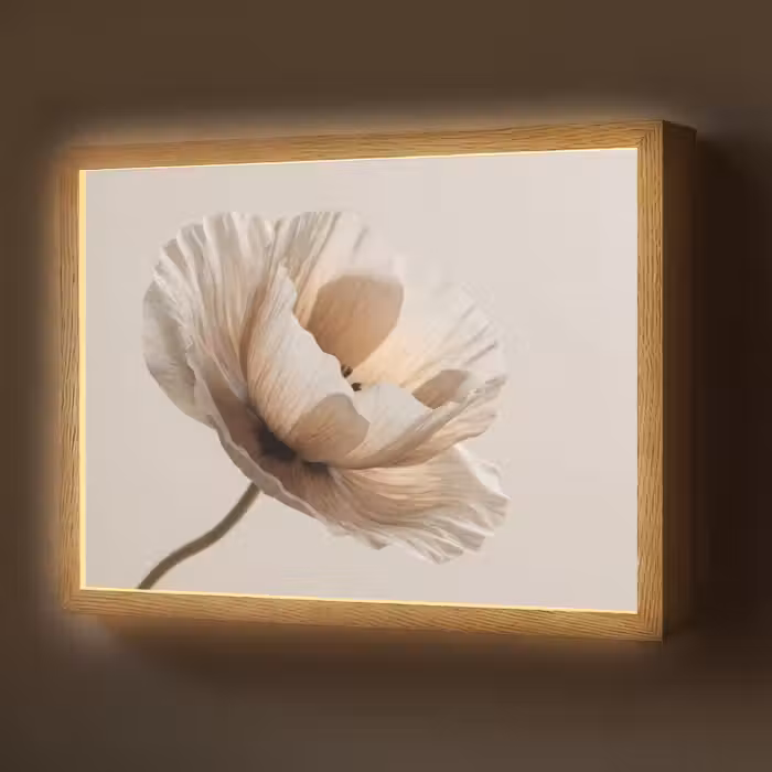 Lightbox - Wandlamp - Bloem - Beige - Crème