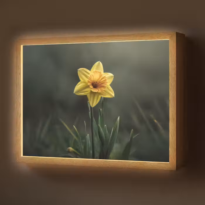 Lightbox - Wandlamp - Bloem - Narcis - Gras - Geel