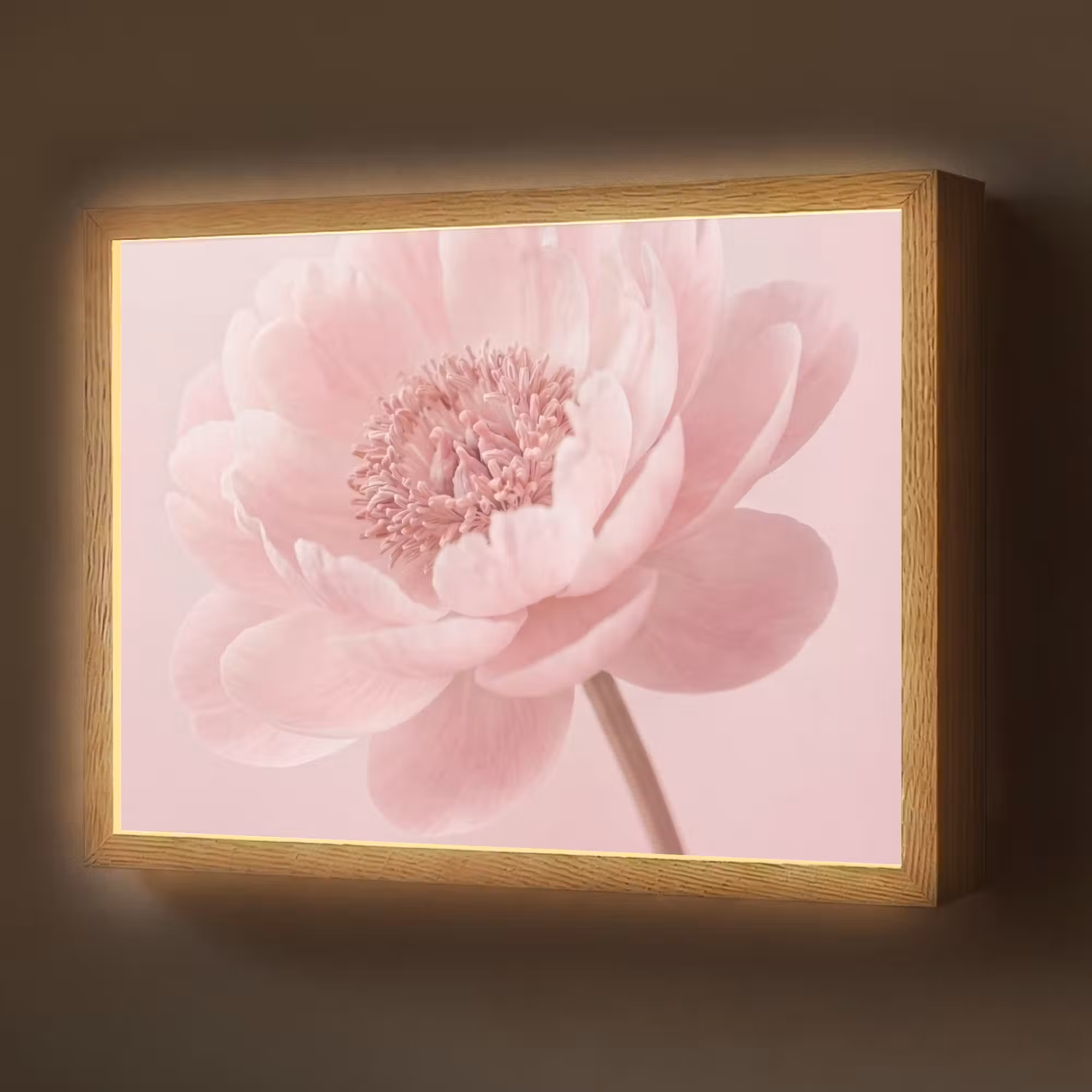 Lightbox - Wandlamp - Bloem - Pioenroos - Roze