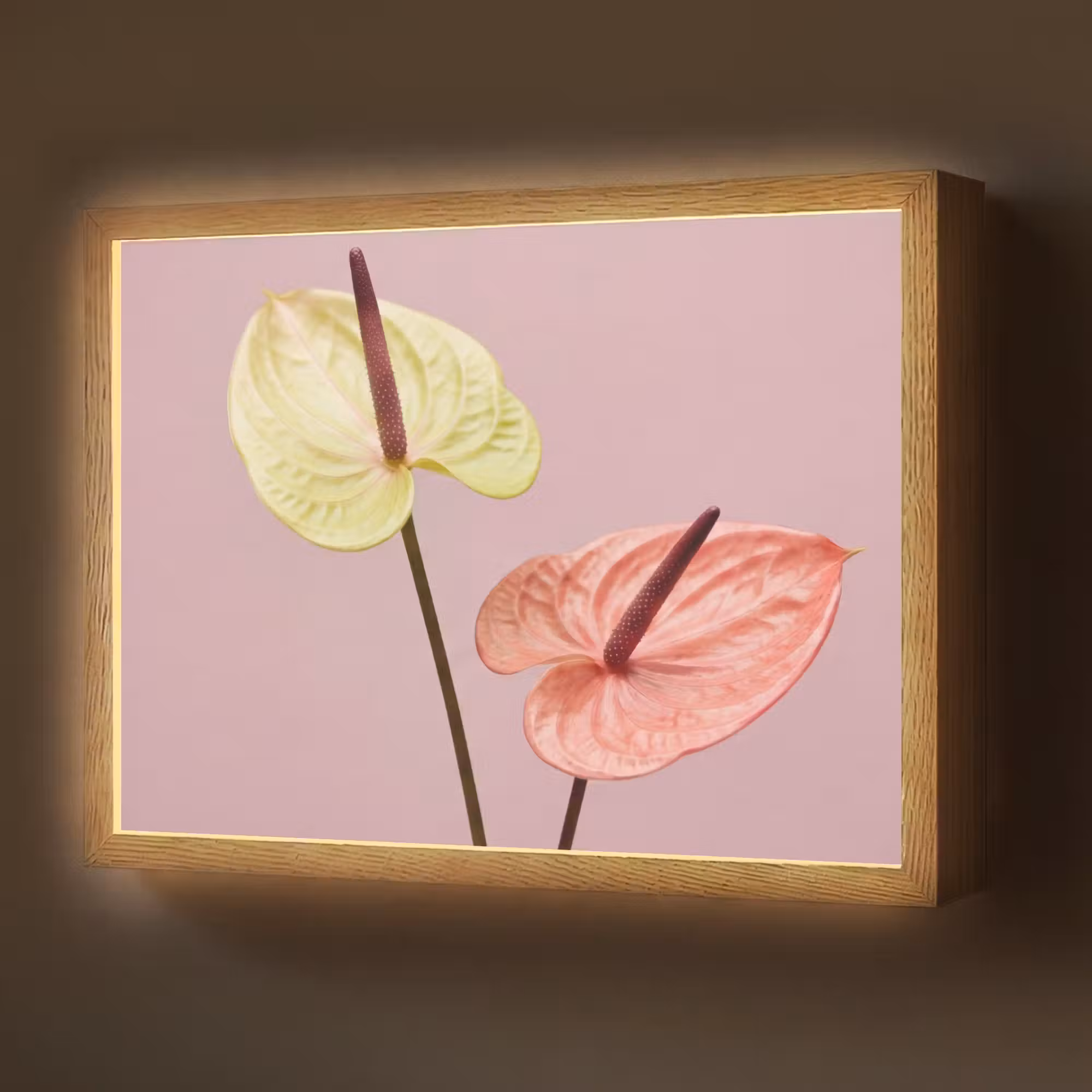 Lightbox - Wandlamp - Bloemen - Anthuriums - Geel - Roze