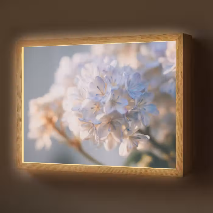 Lightbox - Wandlamp - Bloemen - Lichtblauw - Wazig - Trosje