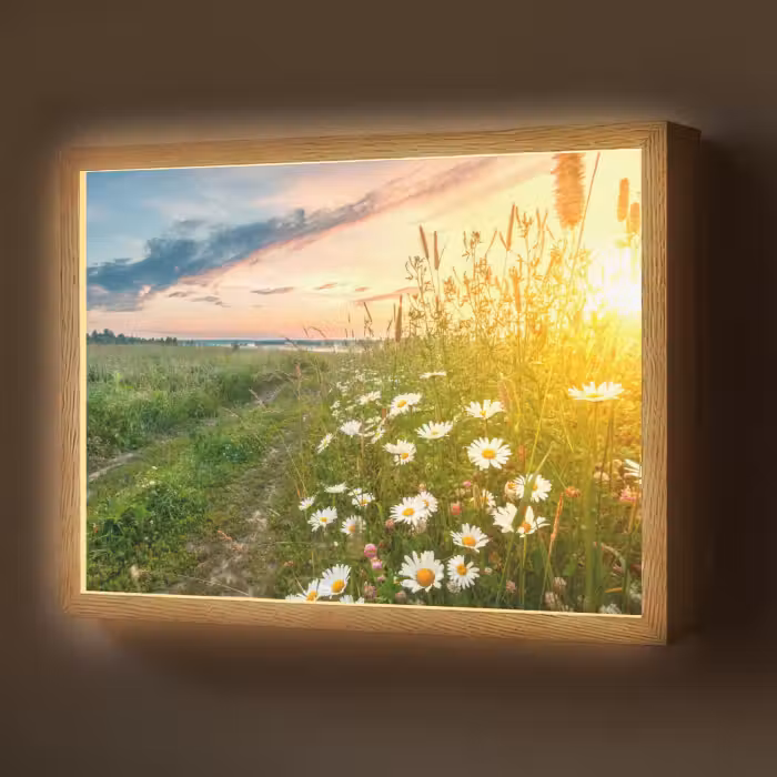 Lightbox - Wandlamp - Bloemen - Madelief - Natuur - Zon - Horizon