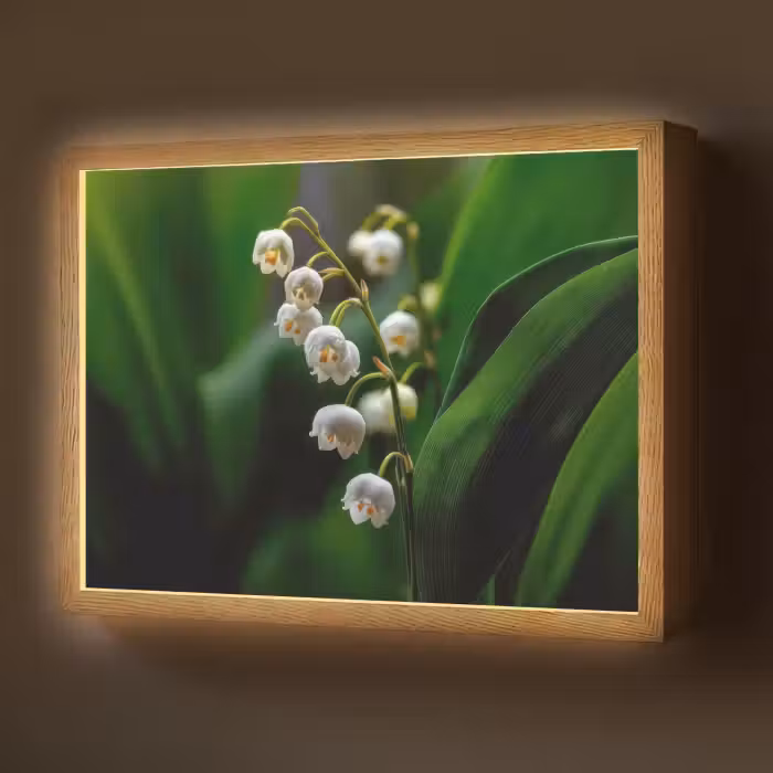 Lightbox - Wandlamp - Bloemen - Wit - Bladeren - Lelietjes
