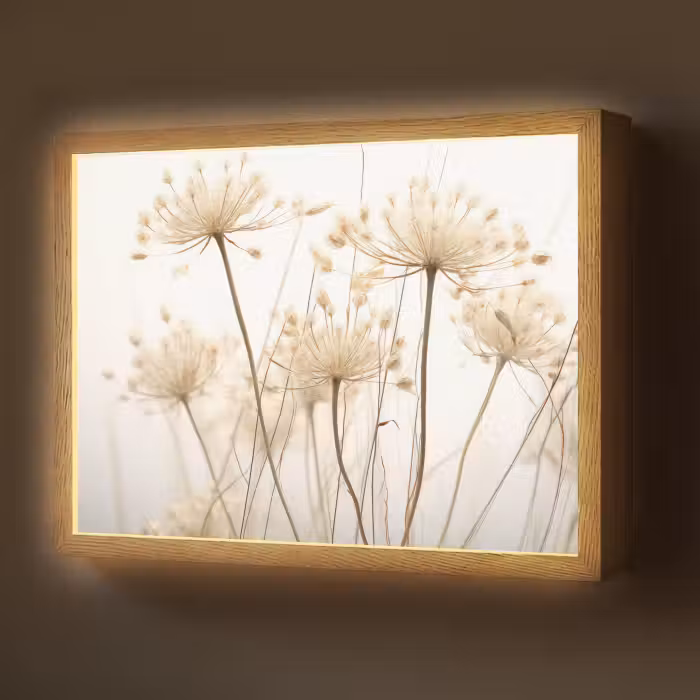 Lightbox - Wandlamp - Bloemen - Wit - Zonlicht
