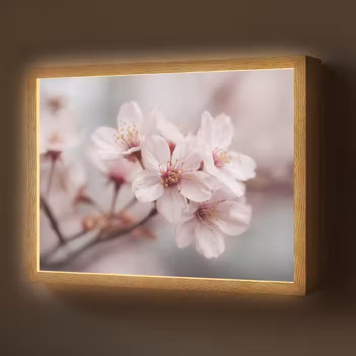 Lightbox - Wandlamp - Bloesems - Meeldraden - Geel - Wazig