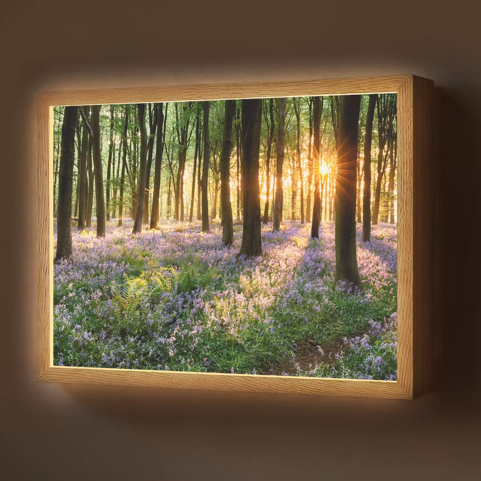 Lightbox - Wandlamp - Bos - Bloemen - Lavendel - Zon - Paars - Natuur