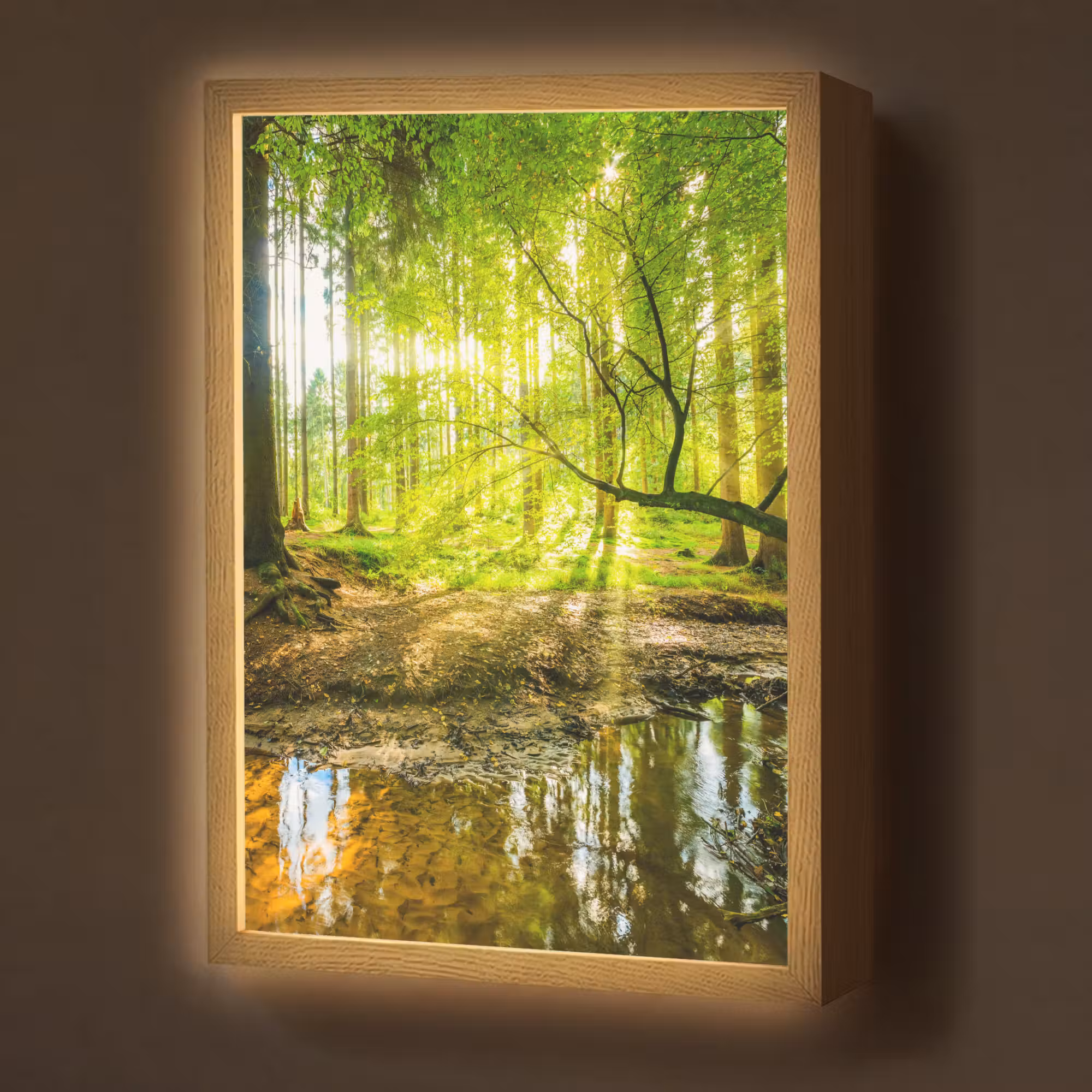Lightbox - Wandlamp - Bos - Landschap - Water - Bomen - Zon - Groen - Natuur