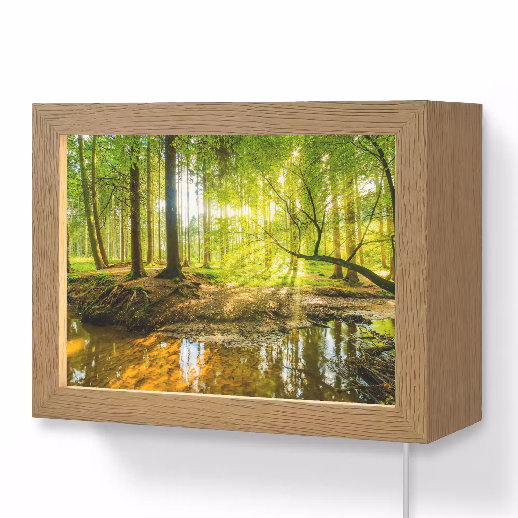 Lightbox - Wandlamp - Bos - Landschap - Water - Bomen - Zon - Groen - Natuur