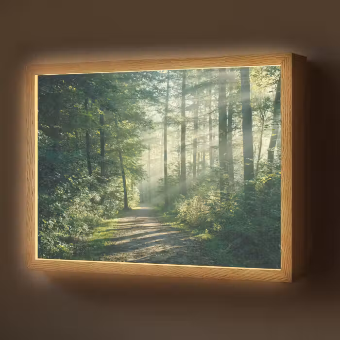 Lightbox - Wandlamp - Bos - Pad - Zon - Bomen - Groen - Natuur