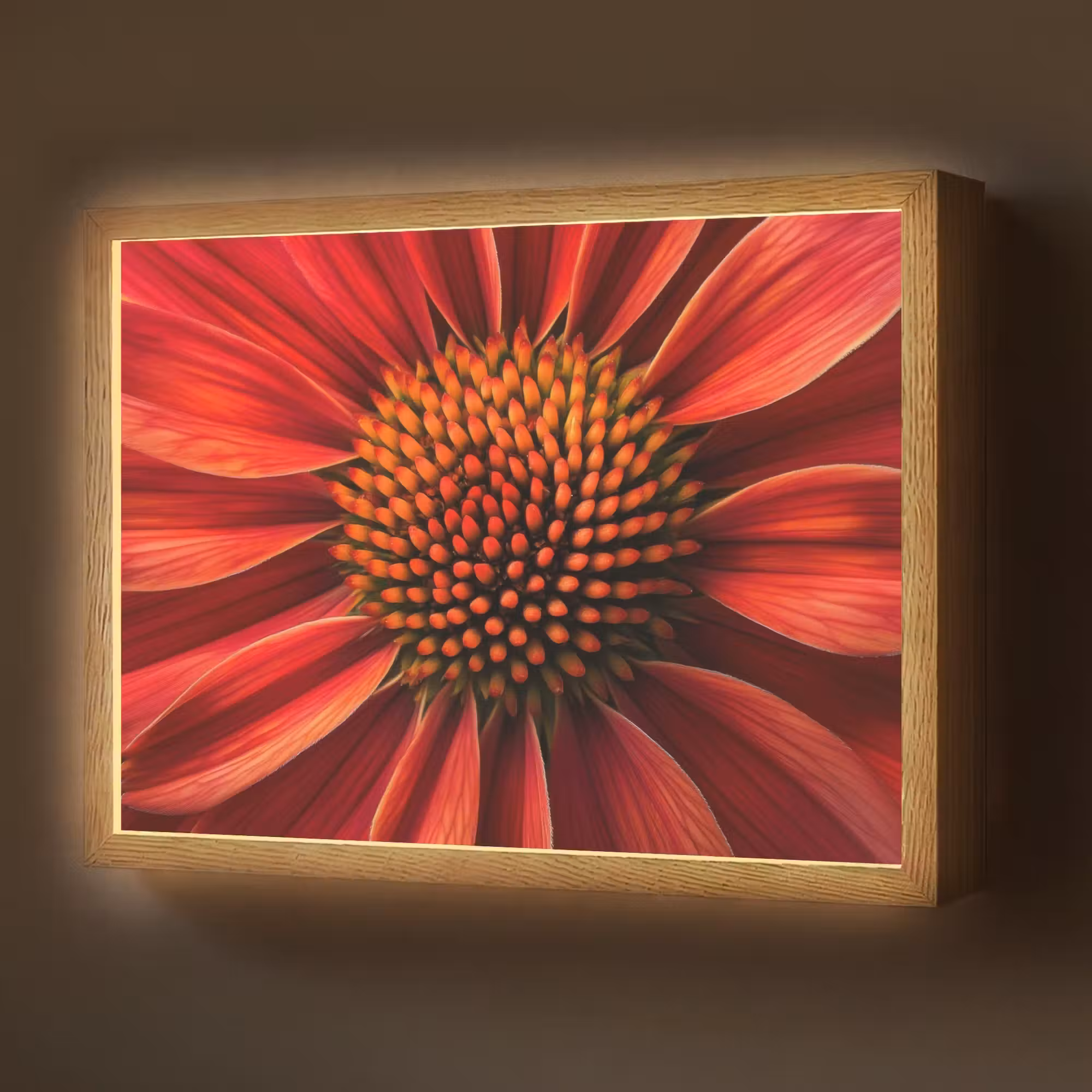 Lightbox - Wandlamp - Close up - Bloem- Rood