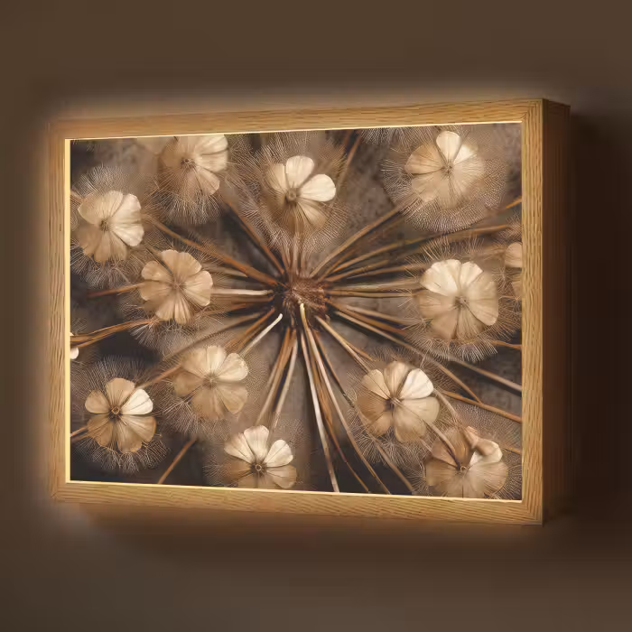 Lightbox - Wandlamp - Droogbloemen - Bruin - Natuur