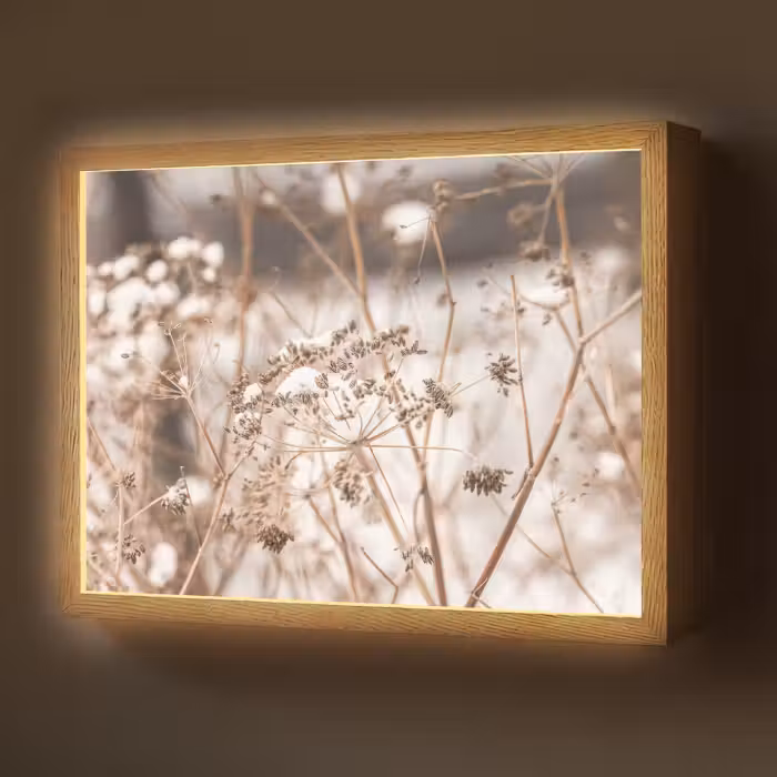 Lightbox - Wandlamp - Droogbloemen - Wit - Planten