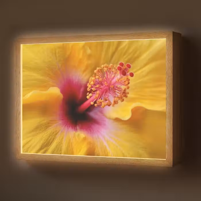 Lightbox - Wandlamp - Geel - Hibiscus - Tropisch
