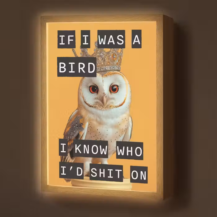 Lightbox - Wandlamp - Geel - Uil - Vogel - Decoratie