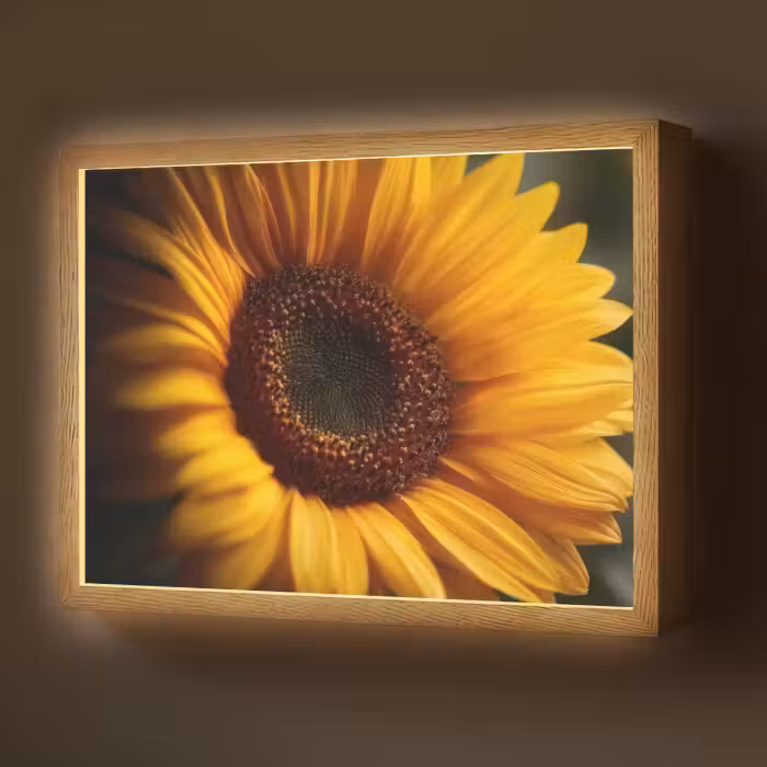Lightbox - Wandlamp - Geel - Zonnebloem - Zomers