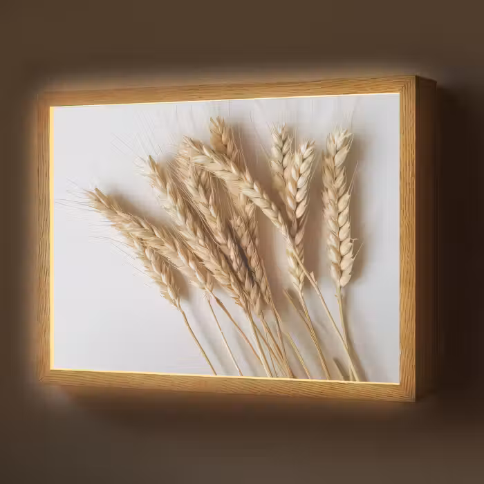 Lightbox - Wandlamp - Graan - Geel - Wit - Stilleven