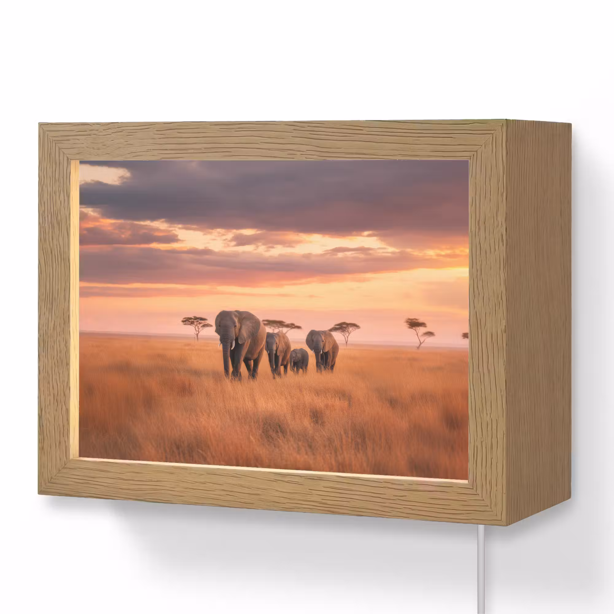 Lightbox - Wandlamp - Groep olifanten - Open vlakte - Zon