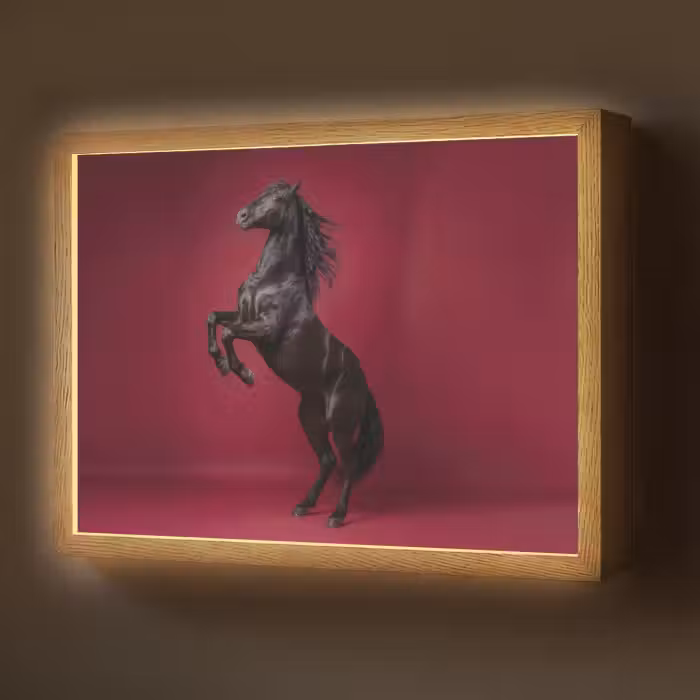 Lightbox - Wandlamp - Hengst - Steigert - Rood