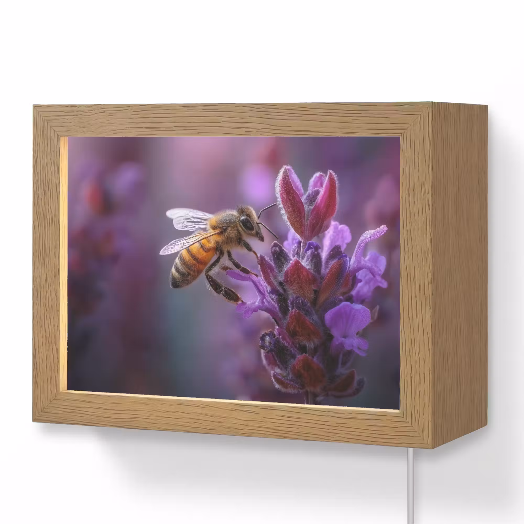 Lightbox - Wandlamp - Honingbij - Paarse bloemen - Details