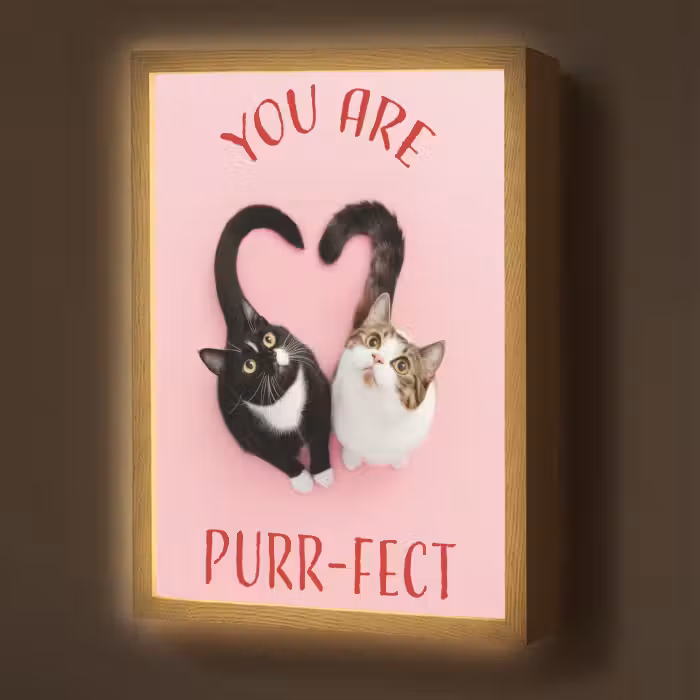 Lightbox - Wandlamp - Kat - Hart - Tekst - Valentijn