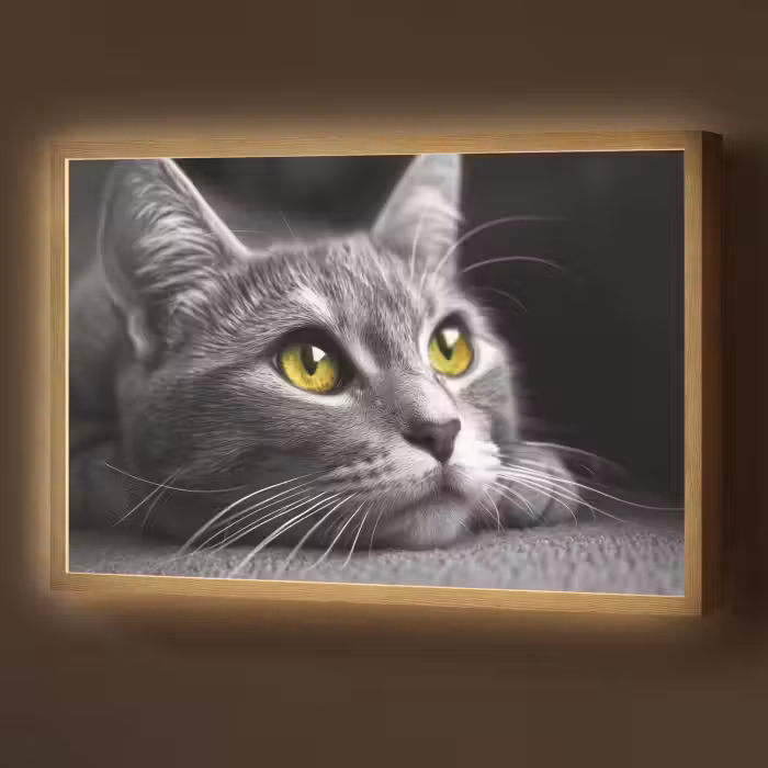 Lightbox - Wandlamp - Kat - Zwart - Wit - Dieren - Natuur