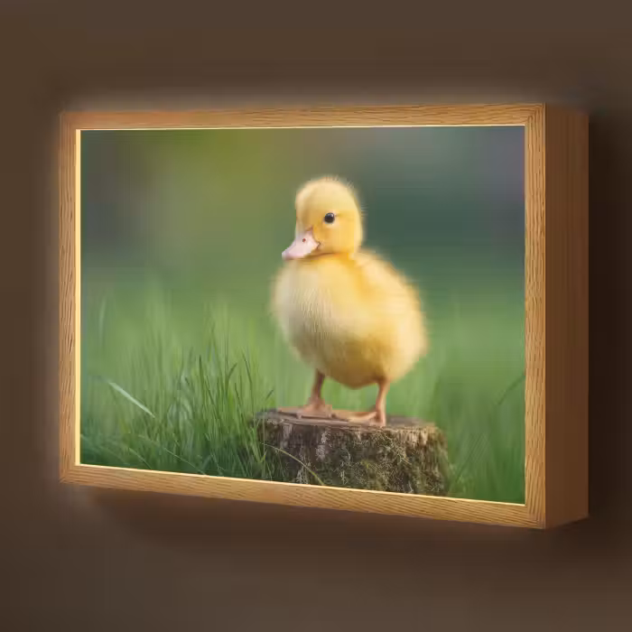 Lightbox - Wandlamp kinderkamer - Kuiken - Eend - Geel - Gras