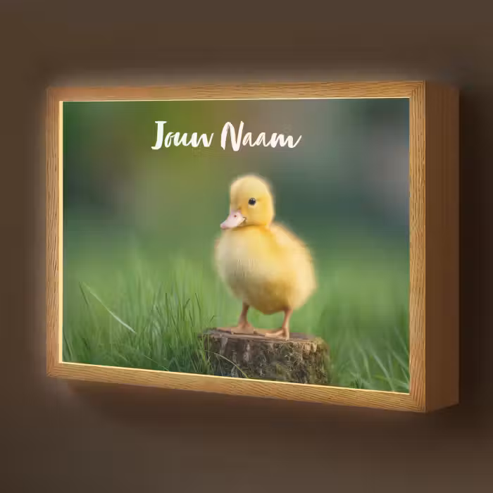 Lightbox - Wandlamp kinderkamer met naam - Kuiken - Eend - Geel - Gras