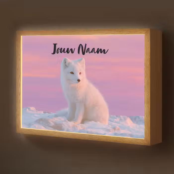 Lightbox - Wandlamp kinderkamer met naam - Poolvos - Sneeuw - Roze