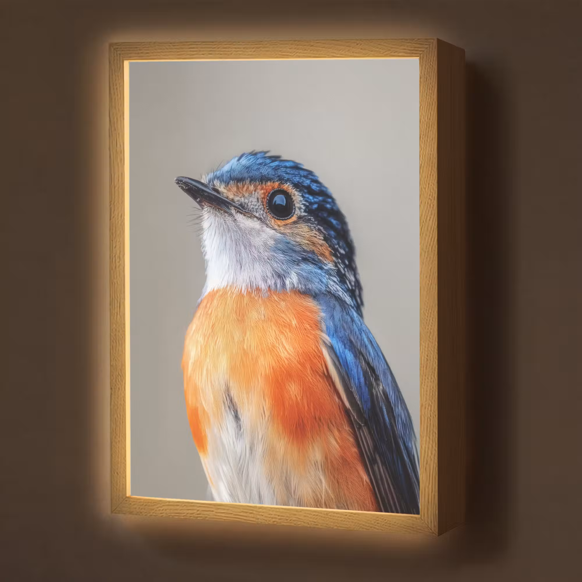 Lightbox - Wandlamp - Kleurrijk - Vogeltje - Veren - Blauw