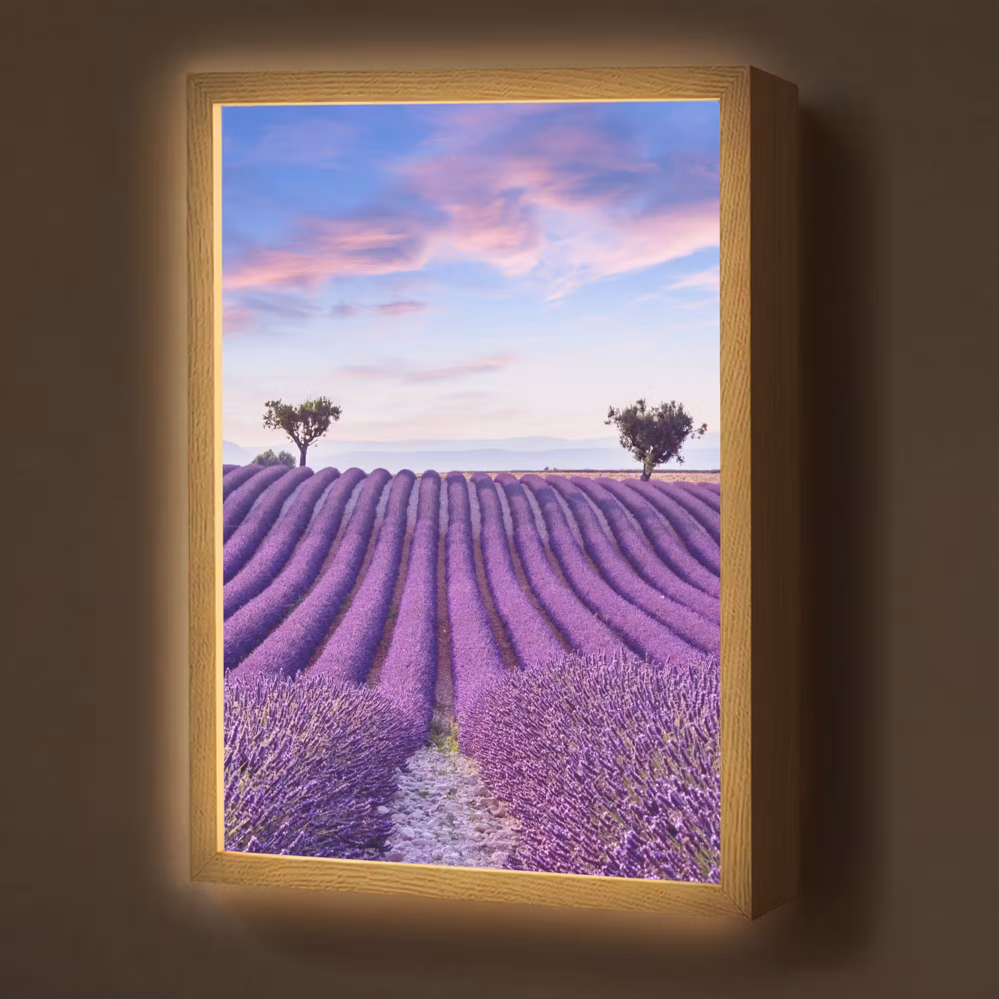 Lightbox - Wandlamp - Lavendel - Natuur - Paars - Bomen - Bloemen