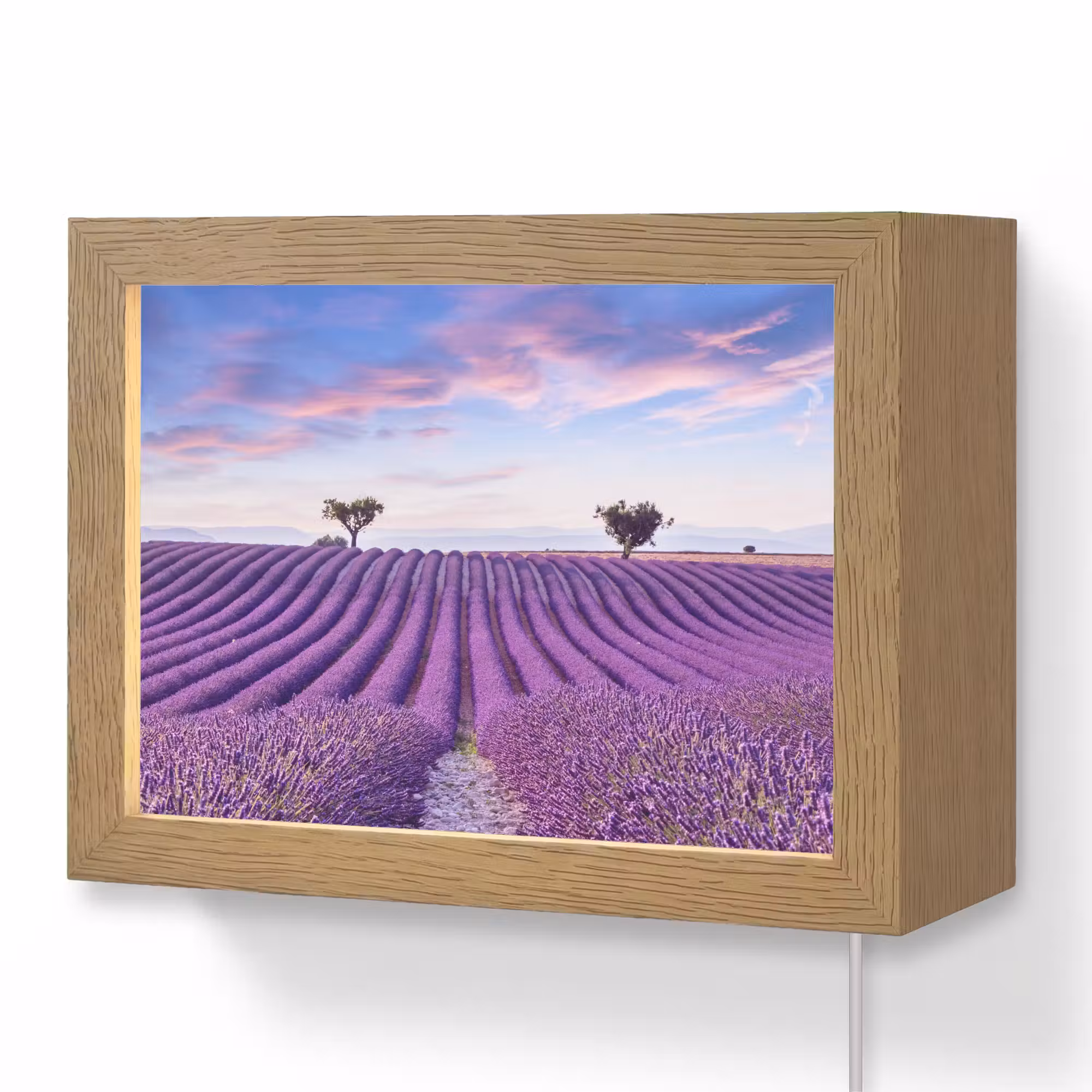 Lightbox - Wandlamp - Lavendel - Natuur - Paars - Bomen - Bloemen