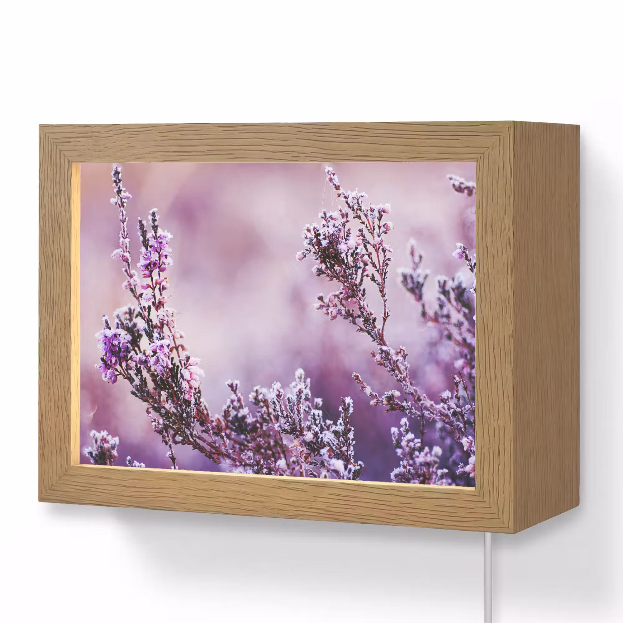 Lightbox - Wandlamp - Lavendel - Winter - Bloemen - Paars