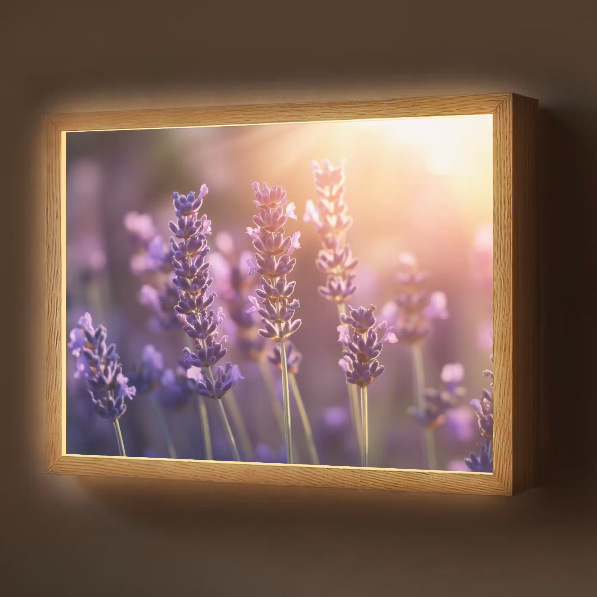 Lightbox - Wandlamp - Lavendelbloemen - Paars - Zonlicht