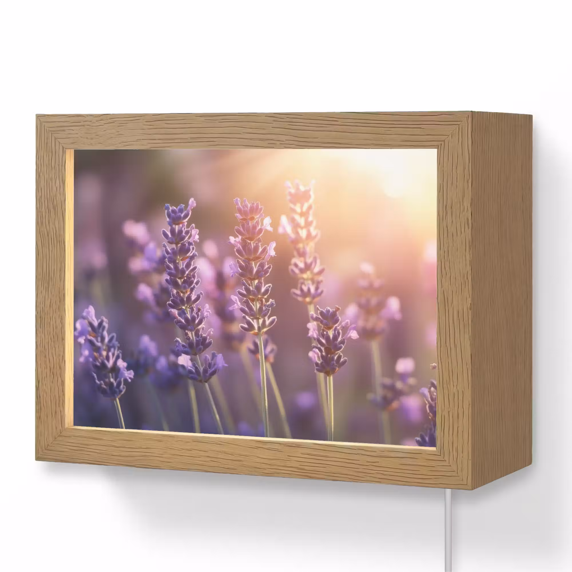 Lightbox - Wandlamp - Lavendelbloemen - Paars - Zonlicht