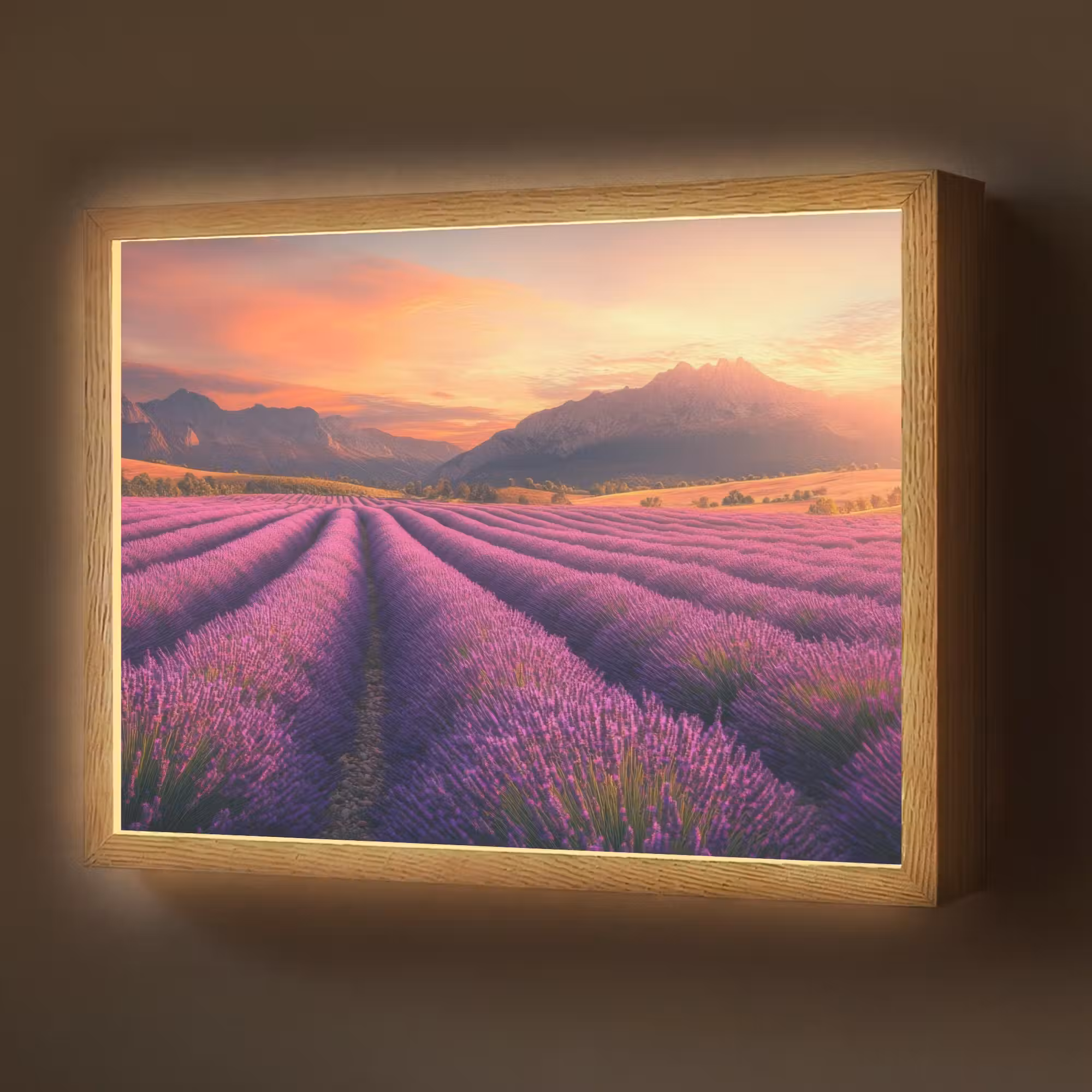 Lightbox - Wandlamp - Lavendelveld - Zonsondergang - Paars