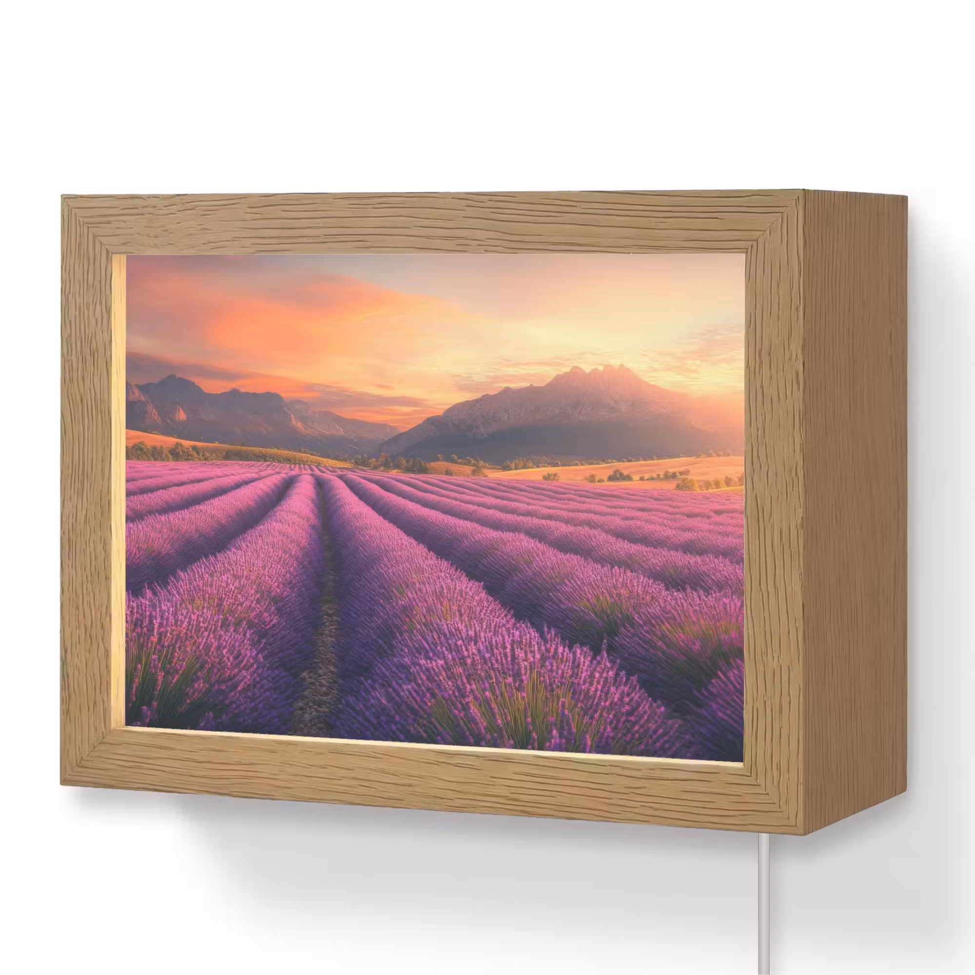 Lightbox - Wandlamp - Lavendelveld - Zonsondergang - Paars