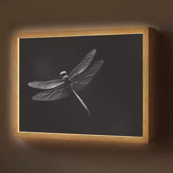 Lightbox - Wandlamp - Libelle - Dieren - Zwart - Insect